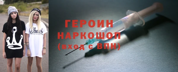 стаф Новозыбков