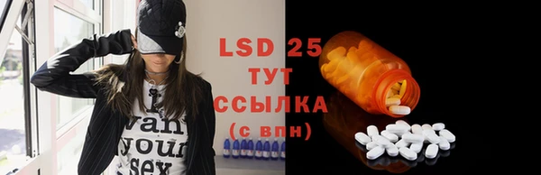 стаф Новозыбков