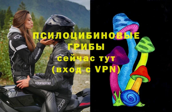 тгк Абдулино