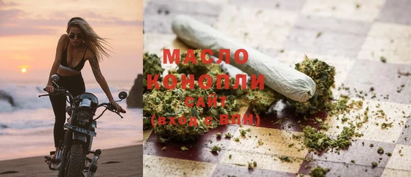 стаф Новозыбков